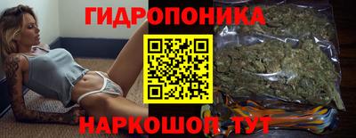 спиды Бердск